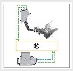 【電子油門的工作原理】圖2