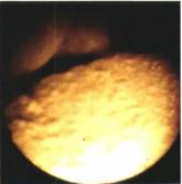 【汽車內窺鏡好用嗎 汽車內窺鏡的使用優點】圖3