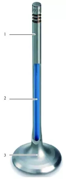 【氣門的構造與原理(圖解)】圖3