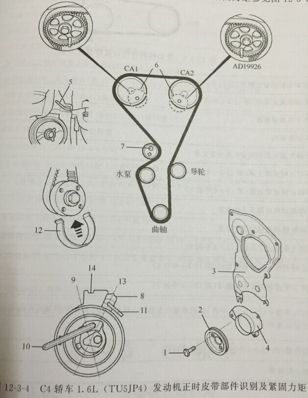 雪鐵龍C4 1.6L 發動機正時圖
