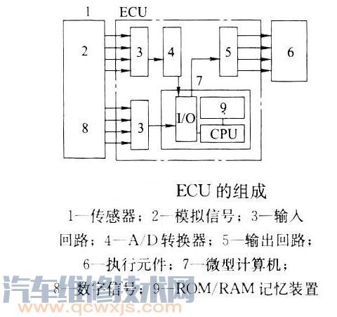 電子控制單元(ECU)由哪些部分組成?
