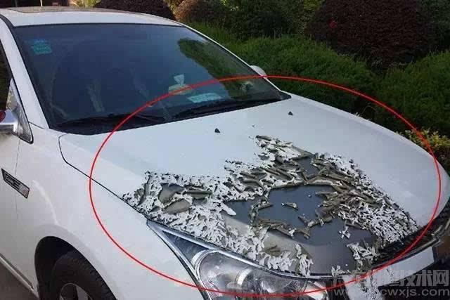 汽車底漆和面漆區別 汽車底漆作用介紹