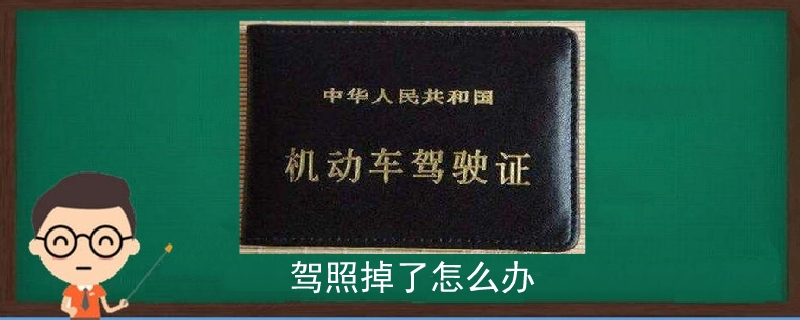 駕照掉了怎么辦