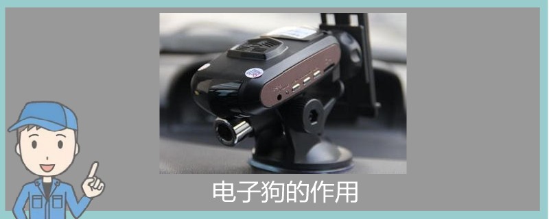 電子狗的作用.jpg