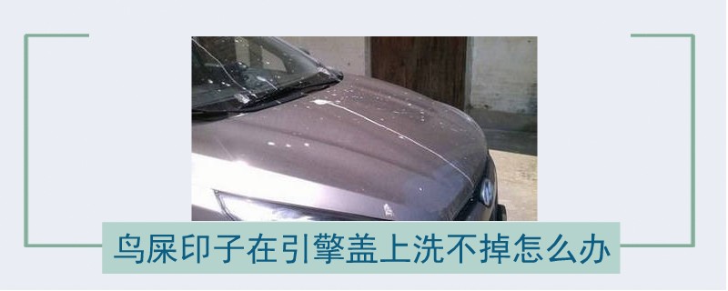 鳥屎印子在引擎蓋上洗不掉怎么辦