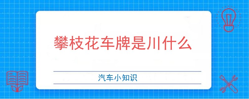 攀枝花車牌是川什么.jpg