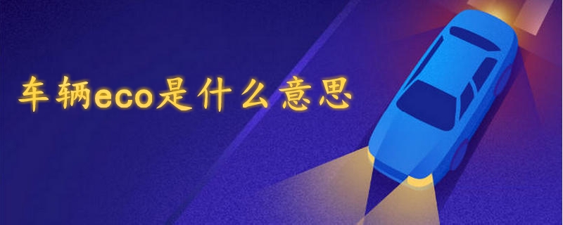 車輛eco是什么意思