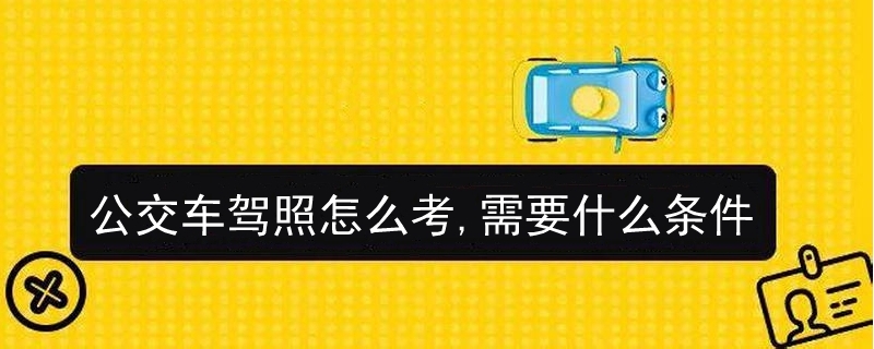 公交車駕照怎么考,需要什么條件