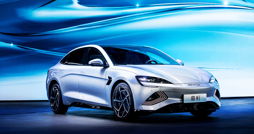 海豹.png 海豹.png