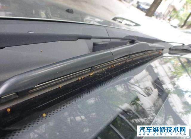雨刮器有異響并且刮不干凈怎么辦