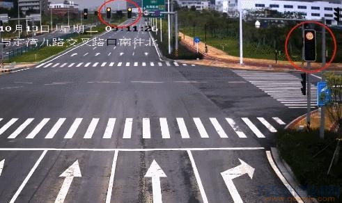 【奇葩的違章經(jīng)歷？】圖2