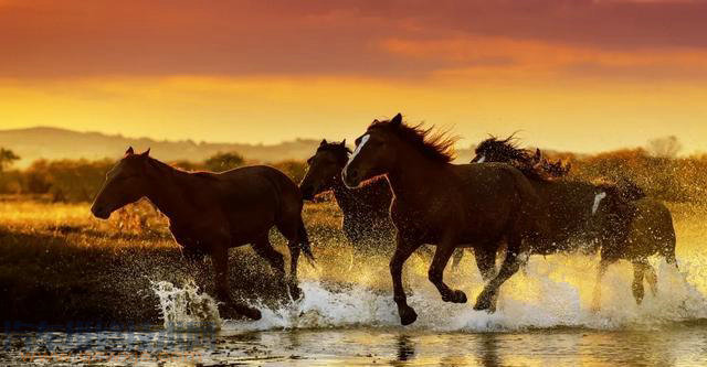 汽車的功率,馬力,扭矩分別體現汽車的哪些性能?