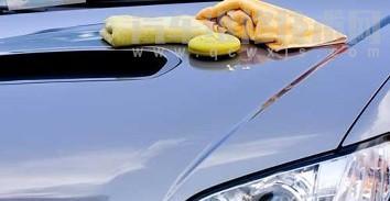 【車身打蠟正確的步驟 車身打蠟的注意事項】圖4