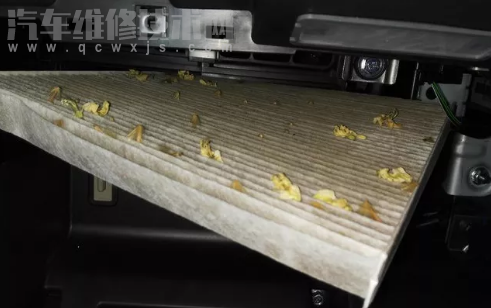 冬天汽車空調濾芯需要換嗎 為什么要定期更換空調濾芯