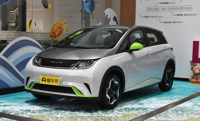 訂比亞迪海豚半年了沒到該怎么辦？