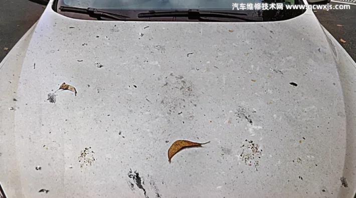 車漆上的頑固污漬怎么清理