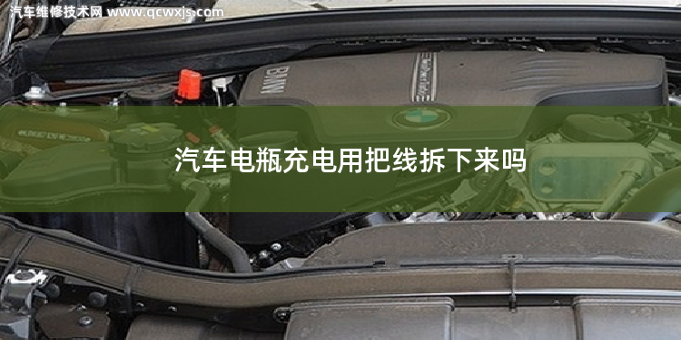 汽車電瓶充電用把電瓶上的線拆下來嗎 汽車電瓶充電用把電瓶上的線拆下來嗎