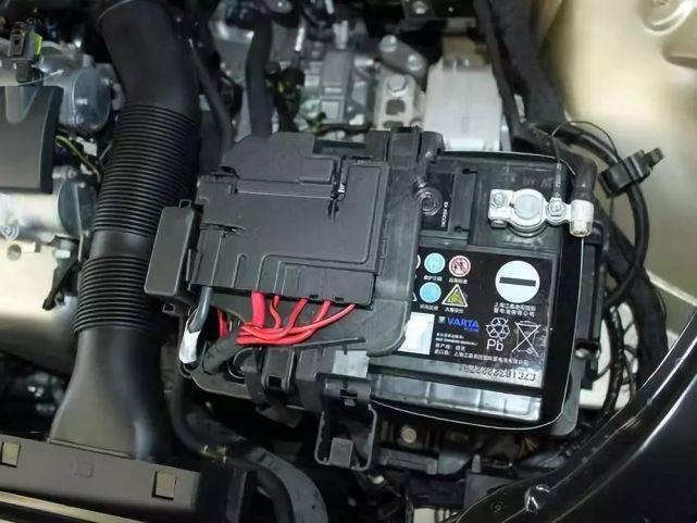 兔兔1.png 兔兔1.png