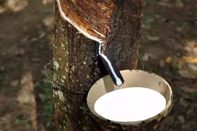 關于汽車的十個“為什么”，你能回答上來幾個？