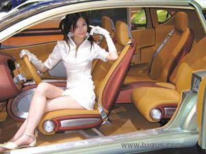 開車最常犯的錯誤 開車二十年后得到的真實的26條教訓、索賠技巧