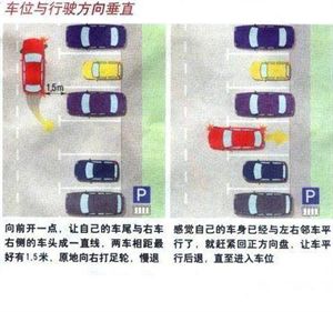 倒車技巧 倒車技巧