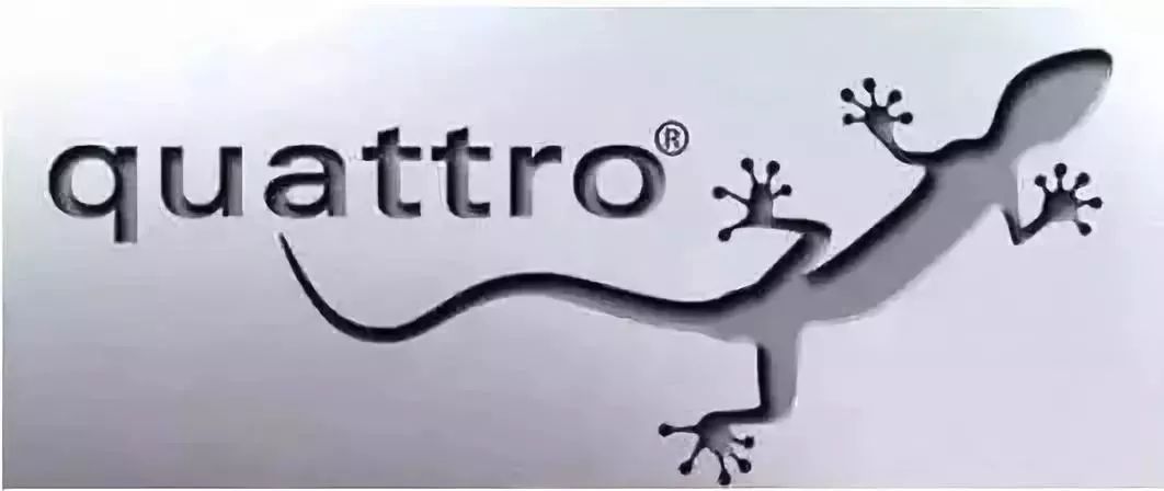 汽車后面貼壁虎掛咸魚是什么意思？