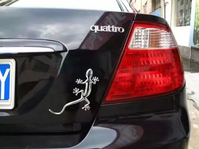 汽車后面貼壁虎掛咸魚是什么意思？
