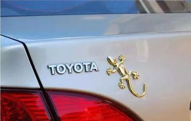 汽車后面貼壁虎掛咸魚是什么意思？