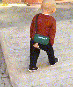 50萬買兩輛車怎么選？