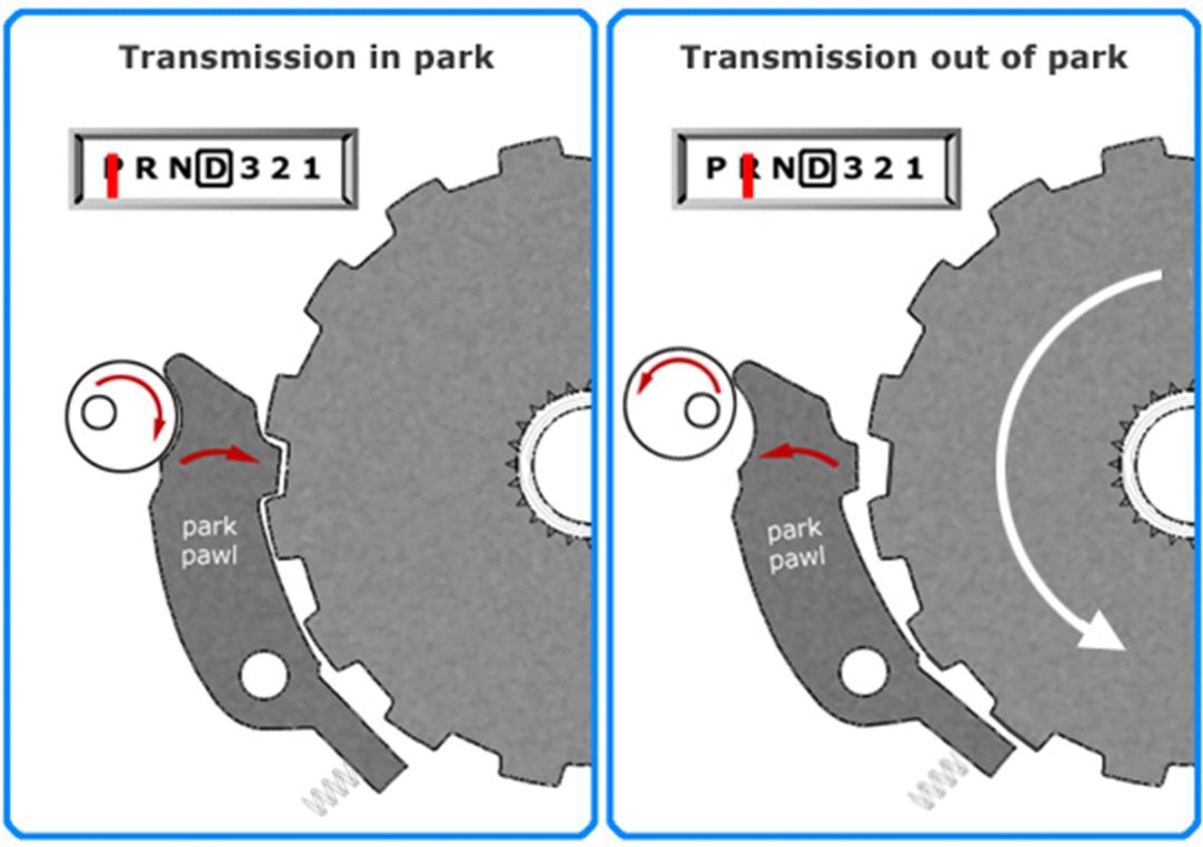 自動擋正確停車方法，很多老司機都做錯了！
