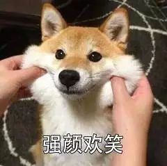 小車盲區示意圖 小車盲區范圍圖解