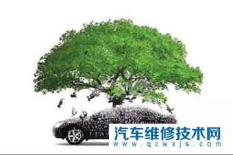 鳥糞對漆面到底有哪些傷害?如何避免被鳥糞侵蝕到車漆?