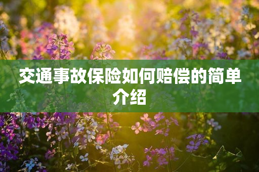 到事故，最好走法律程序，不用怕對方訛錢，對方跑了也有法律依據。